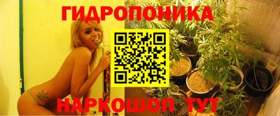 дживик Гай