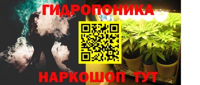 дживик Гай