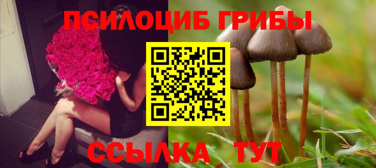Кимры  Галлюциногенные грибы MAGIC MUSHROOMS  Вход с VPN 