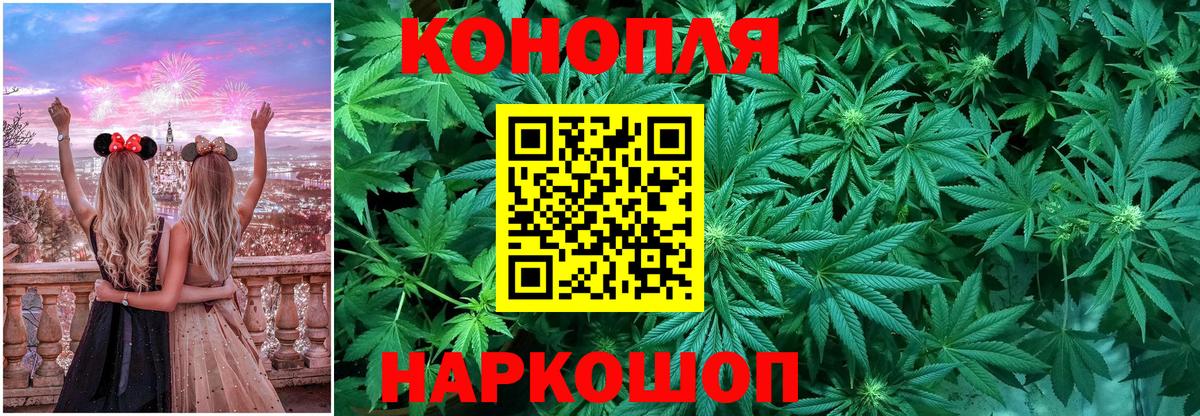 Каннабис планчик  Конопля сатива  Кимры  МАРИХУАНА сатива  Вход с VPN 